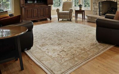 Why are area rugs taken out to be cleaned?